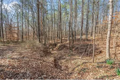 3743 Johnston Road, Winston, GA 30187 - Photo 54