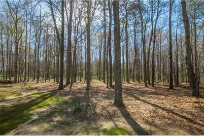 2669 Bay Ridge Drive, Loganville, GA 30052 - Photo 54