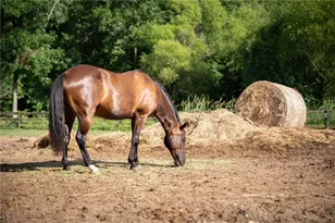 14103 Seabiscuit, Milton, GA 30004 - Photo 108