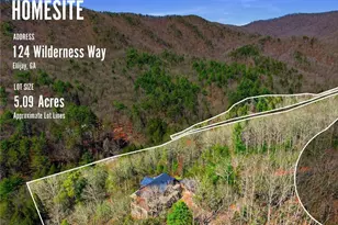 124 Wilderness Way, Ellijay, GA 30536 - Photo 100