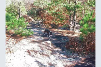 0000 Rabbit Farm Road, Loganville, GA 30052 - Photo 20