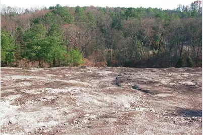 0000 Rabbit Farm Road, Loganville, GA 30052 - Photo 22