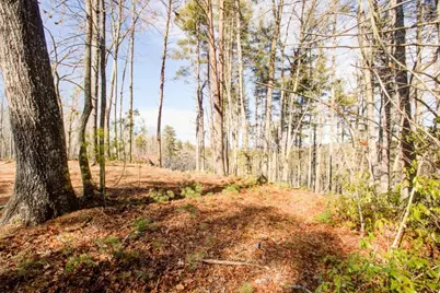 0 River Flow Drive, Dahlonega, GA 30533 - Photo 6