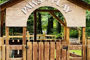 764 Chestnut Cove Trail, Jasper, GA 30143 - Photo 44