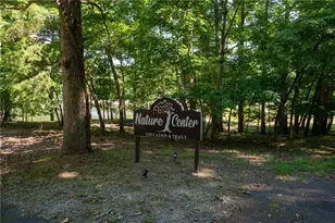 764 Chestnut Cove Trail, Jasper, GA 30143 - Photo 42