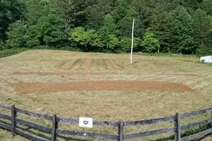 137 Blue Spruce Dr, Blairsville, GA 30512 - Photo 68