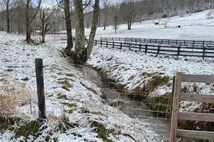 137 Blue Spruce Dr, Blairsville, GA 30512 - Photo 64