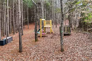 503 London Rd, Ball Ground, GA 30107 - Photo 46