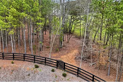 503 London Road, Ball Ground, GA 30107 - Photo 44