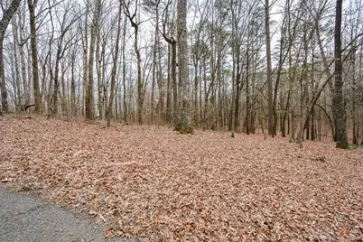 883 Tilley Road, Talking Rock, GA 30175 - Photo 72