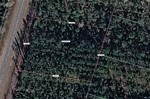 Lot27 Old State Rt 259, Waynesville, GA 31566 - Photo 1