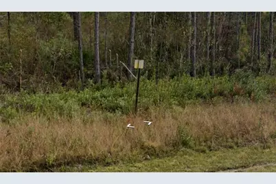 Lot27 Old State Rt 259, Waynesville, GA 31566 - Photo 6