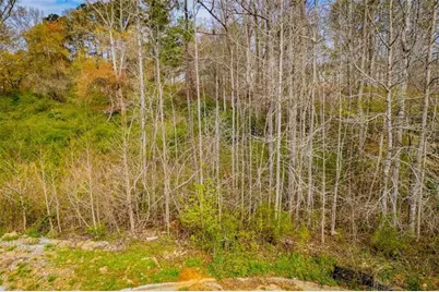 138 Deer Crossing, Temple, GA 30179 - Photo 20