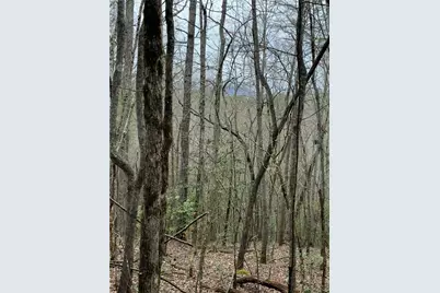 807 East Ridge Lane, Ellijay, GA 30536 - Photo 2