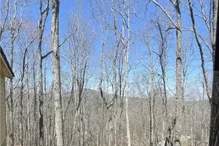 596 Ripshin Mountain Rd, Blue Ridge, GA 30513 - Photo 14