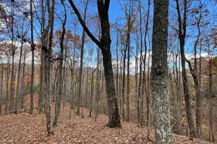 596 Ripshin Mountain Rd, Blue Ridge, GA 30513 - Photo 16