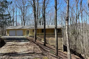 596 Ripshin Mountain Rd, Blue Ridge, GA 30513 - Photo 2