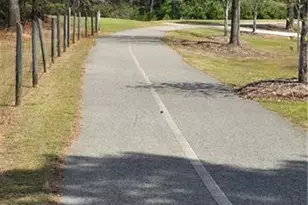 3960 Bonnett Creek Ln, Hoschton, GA 30548 - Photo 64