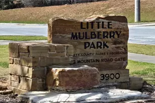 3960 Bonnett Creek Ln, Hoschton, GA 30548 - Photo 62