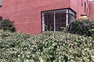 1148 Briarcliff Rd NE, Atlanta, GA 30306 - Photo 22