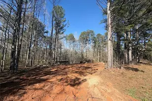 0 Waterford Rd, Bremen, GA 30110 - Photo 1