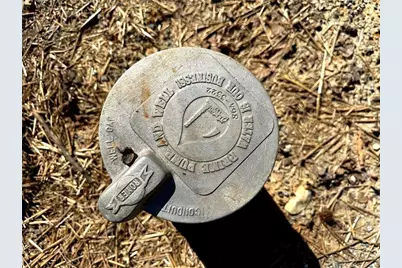 1125 Pecks Road, Dahlonega, GA 30533 - Photo 30