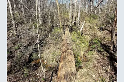 1125 Pecks Road, Dahlonega, GA 30533 - Photo 18