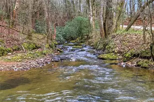 109 Clayton Gooch Rd, Dahlonega, GA 30533 - Photo 32