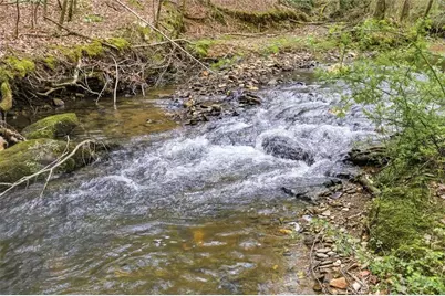109 Clayton Gooch Road, Dahlonega, GA 30533 - Photo 2
