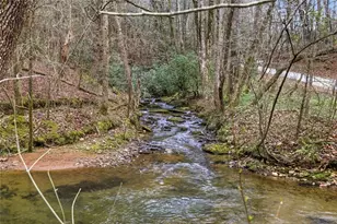 109 Clayton Gooch Rd, Dahlonega, GA 30533 - Photo 40