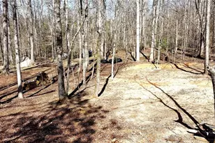 1125 Pecks Rd, Dahlonega, GA 30533 - Photo 8