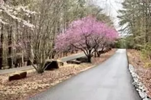 126 Elder Ct, Waleska, GA 30183 - Photo 20