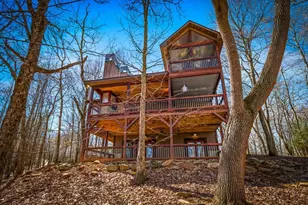 351 Toccoa Preserve Lane, Blue Ridge, GA 30513 - Photo 58