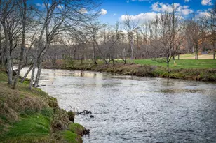 351 Toccoa Preserve Lane, Blue Ridge, GA 30513 - Photo 60