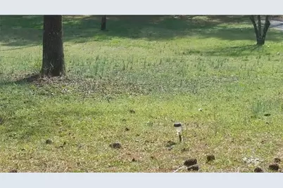 3838 McDaniel Mill Road, Conyers, GA 30094 - Photo 6