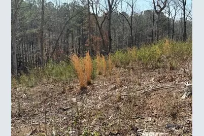 0 Timberline Trail, Talking Rock, GA 30175 - Photo 2