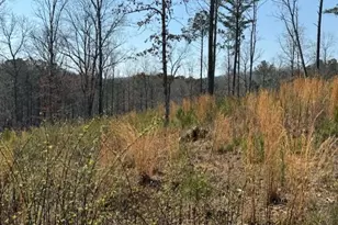 0 Timberline Trail, Talking Rock, GA 30175 - Photo 1