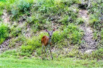 117 Fort Gibson Court, Waleska, GA 30183 - Photo 20