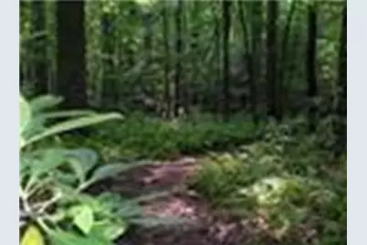 114 Eagle Heart Court, Waleska, GA 30183 - Photo 44