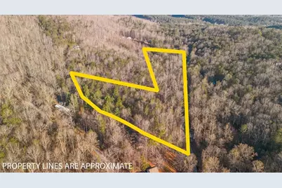 0 Fern Valley Road, Dawsonville, GA 30534 - Photo 4