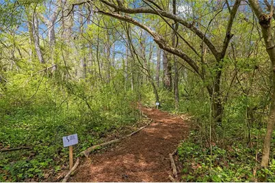 1620 Anita Place NE, Atlanta, GA 30306 - Photo 40