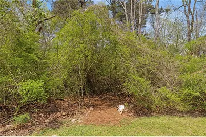 1620 Anita Place NE, Atlanta, GA 30306 - Photo 38