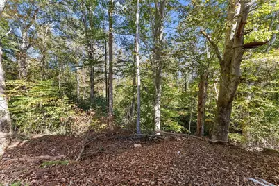 490 Magnolia Grove Place, Cornelia, GA 30531 - Photo 22