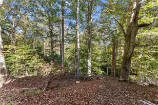 490 Magnolia Grove Pl, Cornelia, GA 30531 - Photo 22