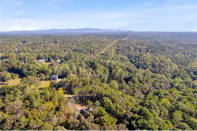 940 Essic Road, Ball Ground, GA 30107 - Photo 40