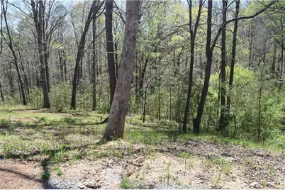 940 Essic Road, Ball Ground, GA 30107 - Photo 38