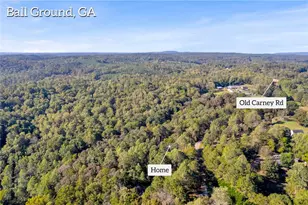 940 Essic Rd, Ball Ground, GA 30107 - Photo 44