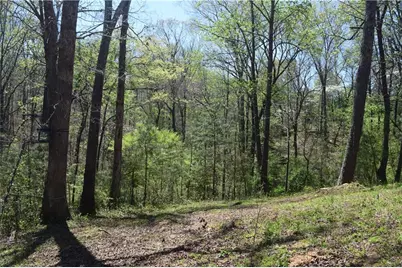 940 Essic Road, Ball Ground, GA 30107 - Photo 36