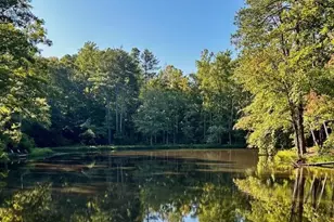 12555 Celestine Wy, Roswell, GA 30075 - Photo 52