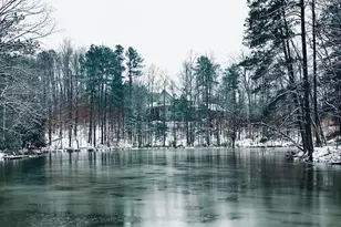 12555 Celestine Wy, Roswell, GA 30075 - Photo 54